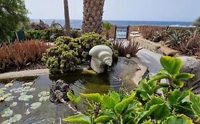 Little Paradise In El Medano 2