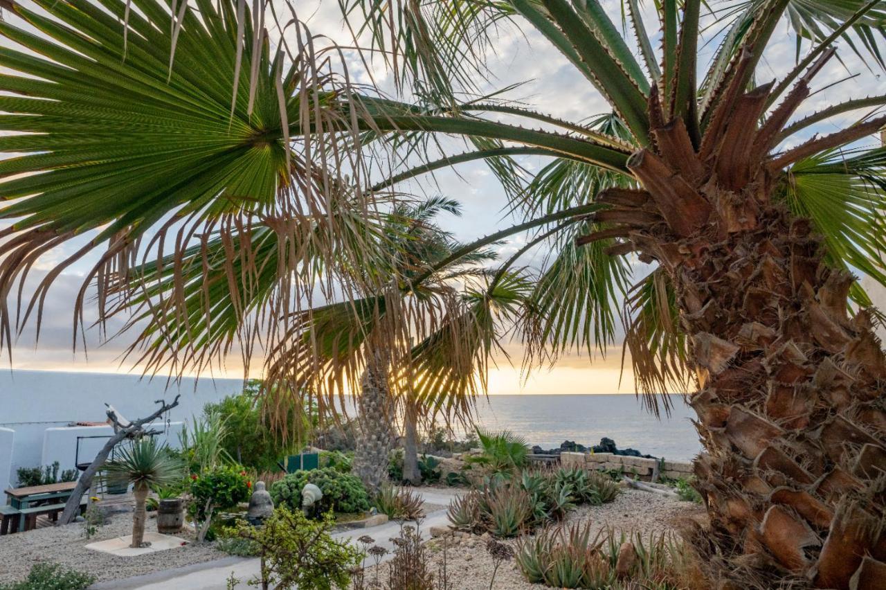 Little Paradise In El Medano 2 Granadilla De Abona Exterior photo