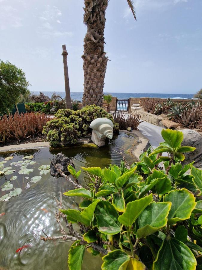 Little Paradise In El Medano 2 Granadilla De Abona Exterior photo